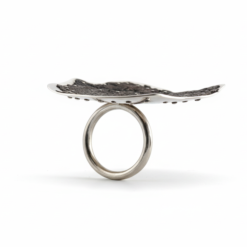 Bague sculpturale en argent et fer rouillé, monté sur un anneau rond mobile.le métal usé à l'extrême est riveté sur plaque d'argent.pièce d'artiste