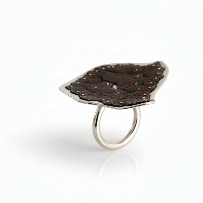 Bague sculpturale en argent et fer rouillé, monté sur un anneau rond mobile.le métal usé à l'extrême est riveté sur plaque d'argent.pièce d'artiste
